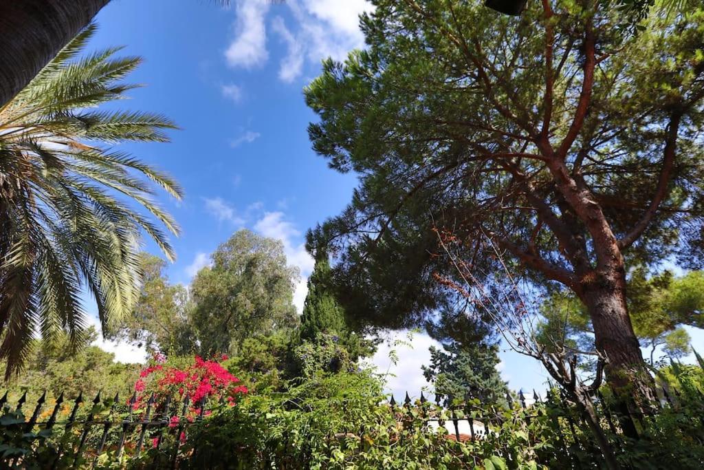 Apartment R15 Side 3 Bedroom Flat Marbella